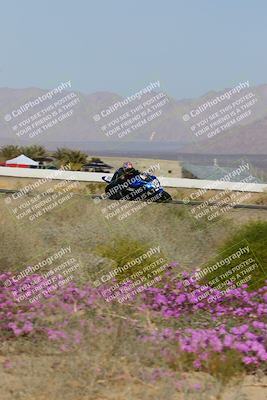 media/Feb-04-2023-SoCal Trackdays (Sat) [[8a776bf2c3]]/Turn 15 Inside Blooming (1050am)/